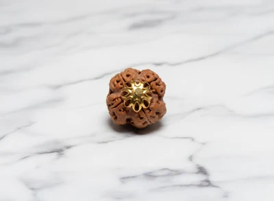 4 Mukhi Rudraksha (Nepali)